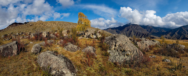 Similar image 21691727