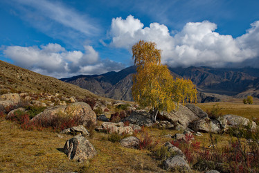 Similar image 21691728