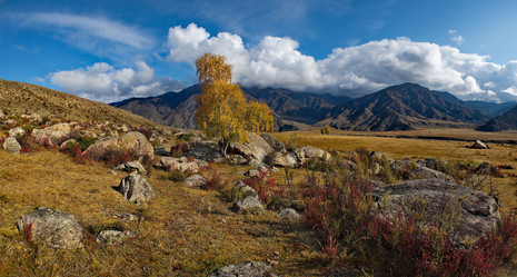 Similar image 21691958