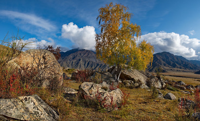 Similar image 21691960