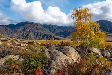 Similar image 21691961