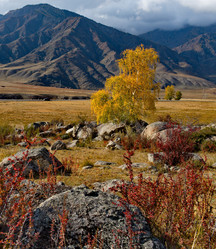 Similar image 21691963