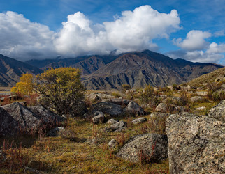 Similar image 21691965