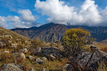 Similar image 21691969