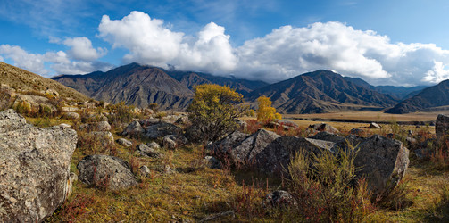 Similar image 21691970