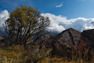 Similar image 21691971