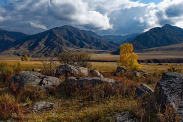 Similar image 21691972