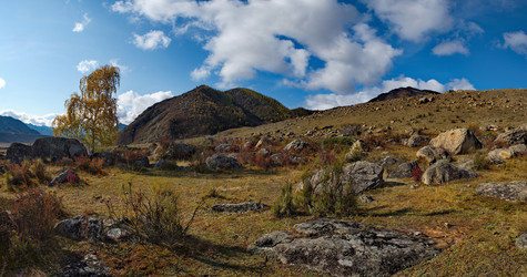 Similar image 21691976