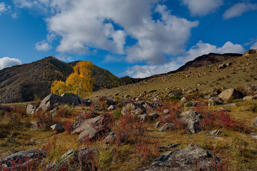 Similar image 21691978