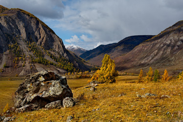 Similar image 21691982