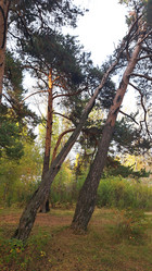 Similar image 21688876