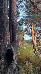 Similar image 21688877