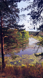 Similar image 21688878