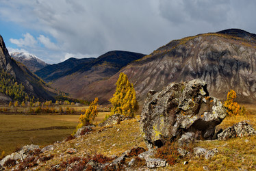 Similar image 21691730