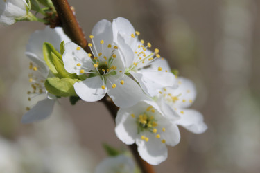 Similar image 21688620