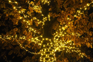 Similar image 21696228