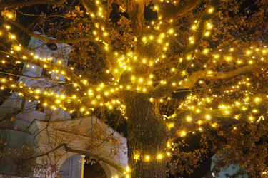 Similar image 21696229