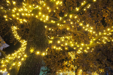 Similar image 21696230