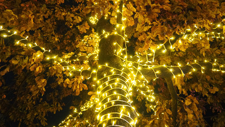 Similar image 21696231