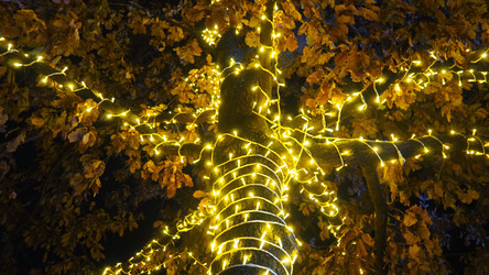 Similar image 21696232