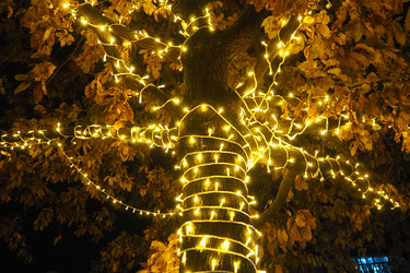 Similar image 21696233