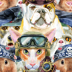 Similar image 21691146