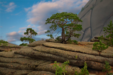 Similar image 21691732