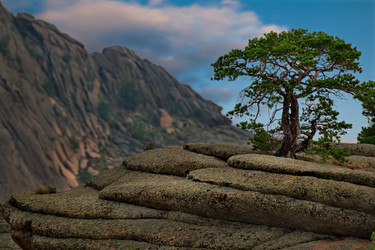 Similar image 21691734