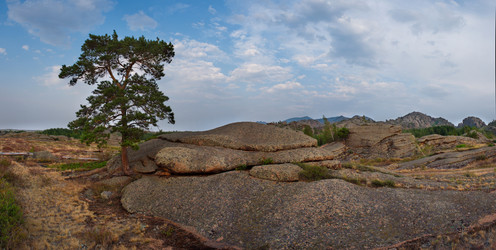 Similar image 21691735