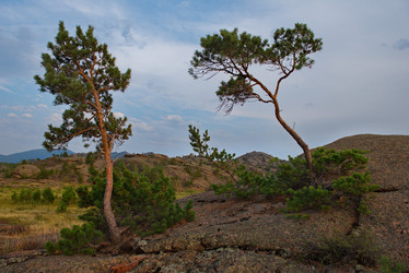 Similar image 21691736