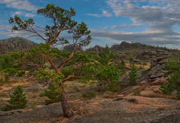 Similar image 21691739