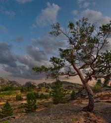 Similar image 21691740