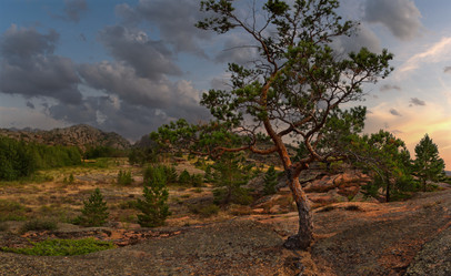 Similar image 21691741