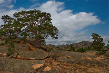 Similar image 21691743