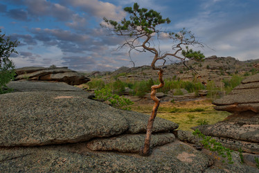 Similar image 21691744