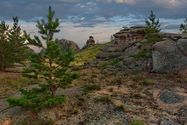 Similar image 21691750