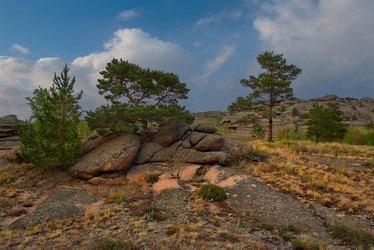 Similar image 21691752