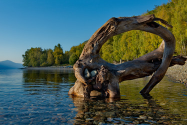 Similar image 21691754