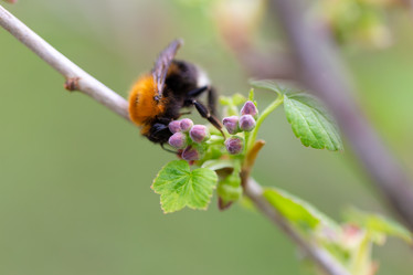 Similar image 21689341