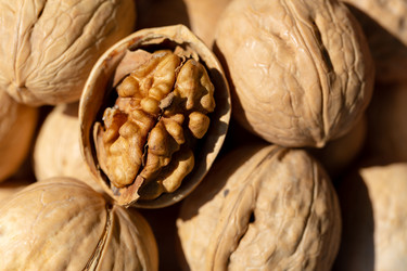 Similar image 21689346