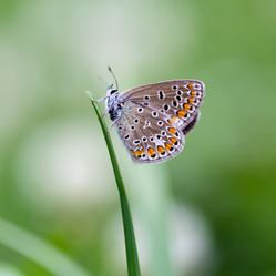 Similar image 21689348