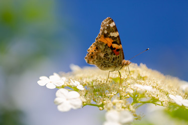 Similar image 21689349