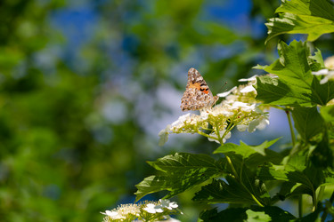 Similar image 21689350