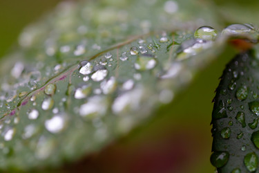 Similar image 21689353