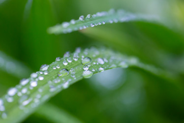 Similar image 21689354