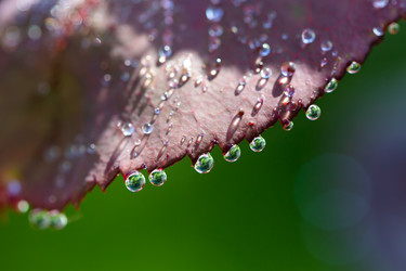 Similar image 21689355