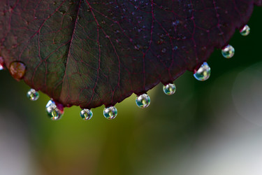 Similar image 21689356