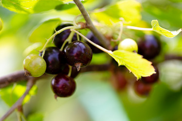 Similar image 21689359