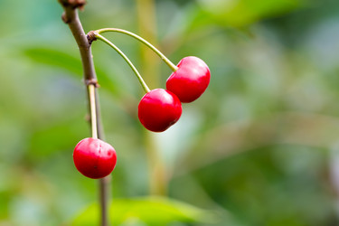 Similar image 21689360