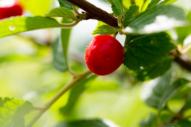 Similar image 21689361